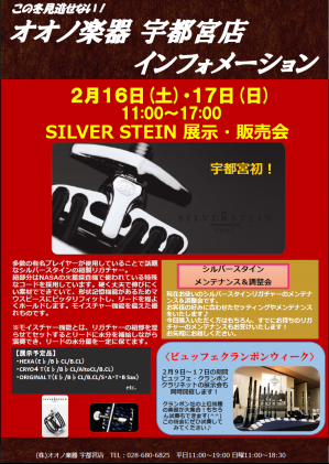 silver stein